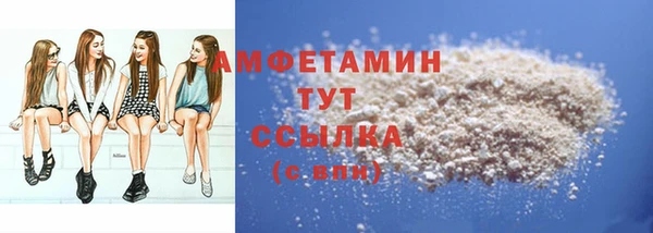 PSILOCYBIN Вяземский