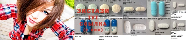 PSILOCYBIN Вяземский