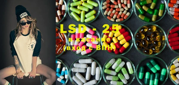 PSILOCYBIN Вяземский