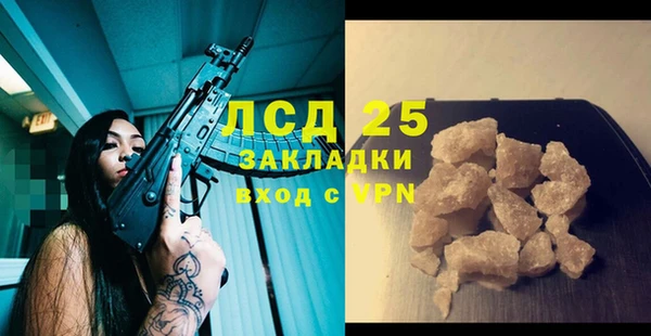 PSILOCYBIN Вяземский