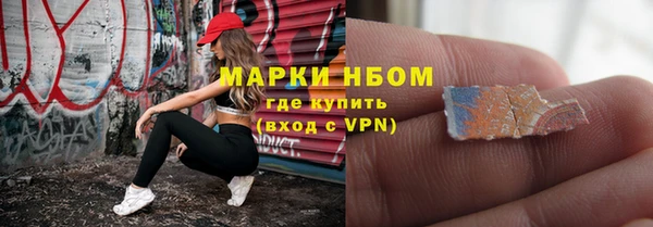 PSILOCYBIN Вяземский