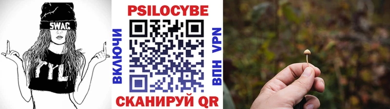 Псилоцибиновые грибы Cubensis  ОМГ ОМГ ТОР  Абакан 
